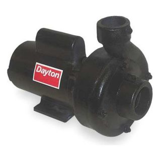 Dayton 4ZA35 Centrifugal Pump, 2 HP