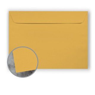 Manila File 9 x 12 Yellow Envelopes   500/Carton Office