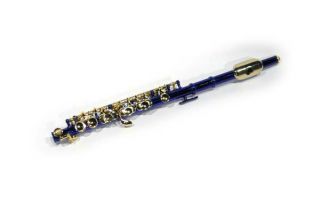 Blue and Gold School Band Piccolo with Case