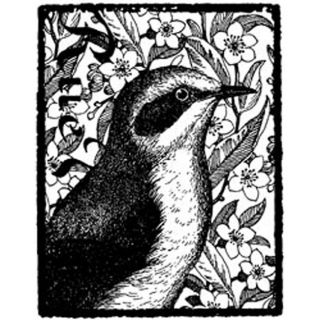 Magenta Garden Warbler Cling Stamps