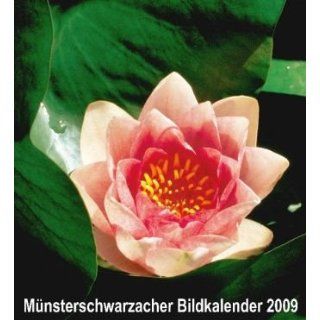 Münsterschwarzacher Bildkalender 2009: Vier Türme Verlag
